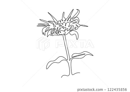 Continuous one line drawing beauty fresh monarda for garden logo. Decorative horsemint oswago tea flower concept for floral invitation card frame. Single line draw design vector graphic illustration Continuous one line drawing beauty fresh monarda for garden logo. Decorative horsemint oswago tea flower concept for floral invitation card frame. Single line draw design vector graphic illustration 122435856