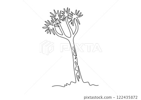 Single one line drawing quiver tree forest. Decorative aloidendron dichotomum for home decor wall art poster print. Tourism and travel series. Continuous line draw design graphic vector illustration 122435872