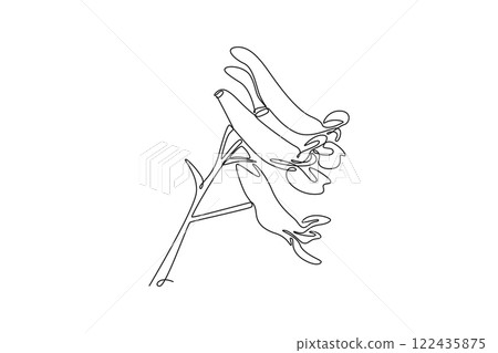 Single one line drawing beauty fresh perennial herbaceous plant wall art home decor poster print. Decorative corydalis flower for floral card. Continuous line draw design graphic vector illustration 122435875