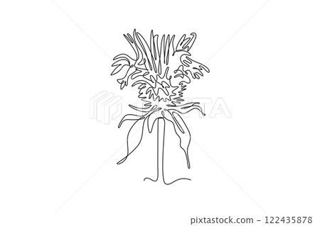 Single one line drawing beauty fresh monarda for garden logo. Decorative horsemint oswago tea flower concept for floral invitation card. Modern continuous line draw design graphic vector illustration 122435878