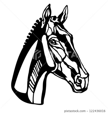 Stencil of horse head illustration template vector Stencil of horse head illustration template vector 122436016