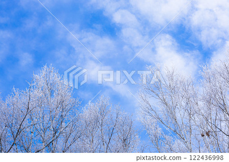 藍天白雲、冬季霜凍樹木和影印空間的風景 122436998