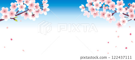 櫻花背景素材(春天,四月,賞櫻,櫻花雪,新生活)/櫻花和天空 櫻花背景素材(春天,四月,賞櫻,櫻花雪,新生活)/櫻花和天空 122437111