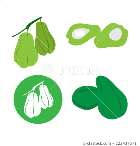 chayote fruit icon vector chayote fruit icon vector 122437571