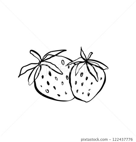 Strawberry line art vector illustration hand drawn doodles with leaves Strawberry line art vector illustration hand drawn doodles with leaves 122437776