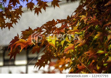 岡山縣總社市井山法福寺紅葉 122437793
