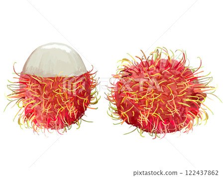 Rambutan (1 whole, peeled) 122437862
