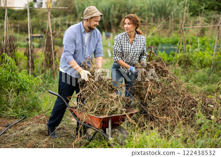 Husband and wife together put dry tops in wheelbarrow for disposal 122438532