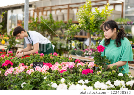 girl gardener chooses young unpretentious pelargonium plant in shop for planting in street flowerpot 122438583