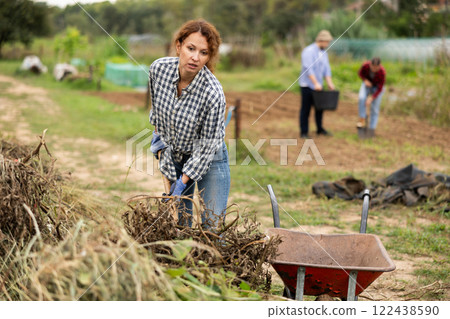 Female gardener places dry tops in wheelbarrow for disposal Female gardener places dry tops in wheelbarrow for disposal 122438590