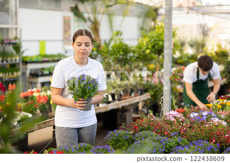 Thoughtful young girl choosing potted blooming lobelia in greenhouse Thoughtful young girl choosing potted blooming lobelia in greenhouse 122438609