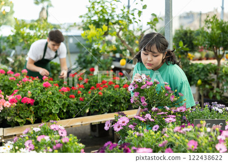 Asian girl choosing blooming potted African daisy in greenhouse 122438622