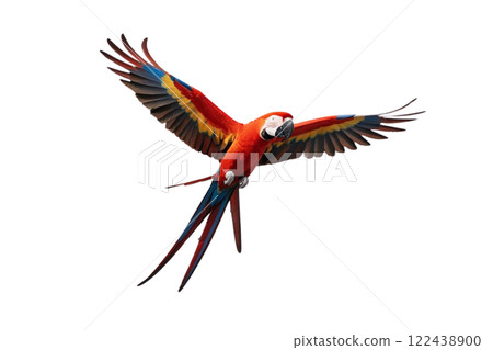 flying macaw parrot on transparency background PNG 122438900