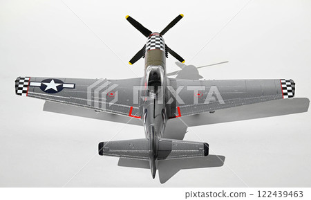 P-51D Mustang, 1/72 scale model, 78th Fighter Group P-51D Mustang, 1/72 scale model, 78th Fighter Group 122439463