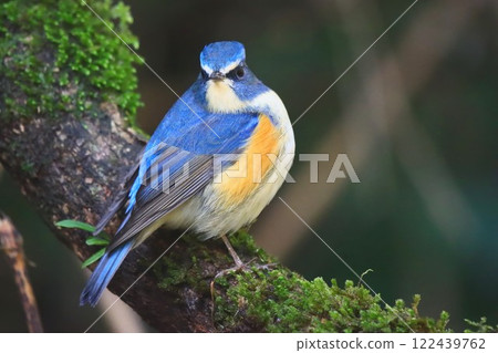 里山R人 122439762