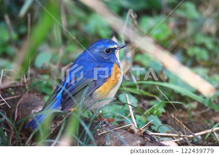 里山R人 122439779