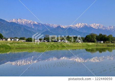 Rice fields and the Northern Alps, reflected in water (Azumino City, Nagano Prefecture) 122440050