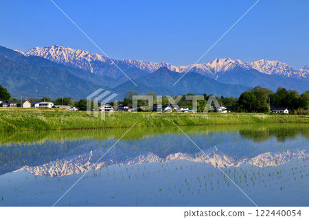 Rice fields and the Northern Alps, reflected in water (Azumino City, Nagano Prefecture) 122440054