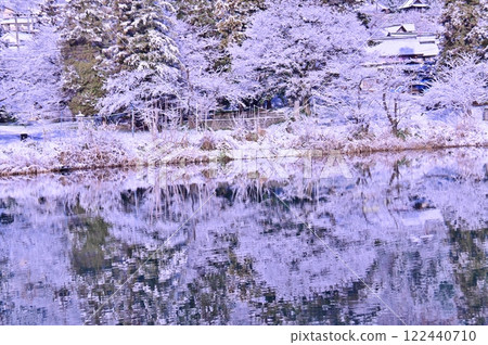 The first snow of the morning, snow-covered trees decorating the water's surface 122440710