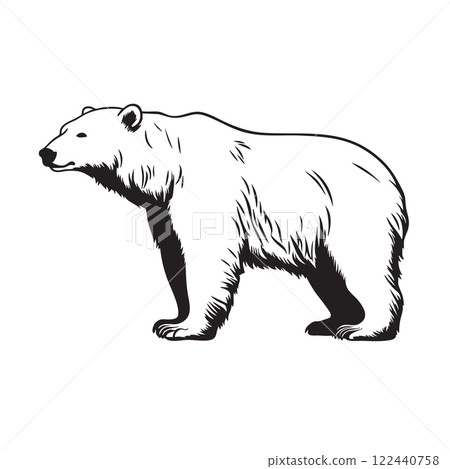 Illustration vector of majestic polar bear standing in profile on a white background. Easy editable layere. Wildlife Animals. Illustration vector of majestic polar bear standing in profile on a white background. Easy editable layere. Wildlife Animals. 122440758