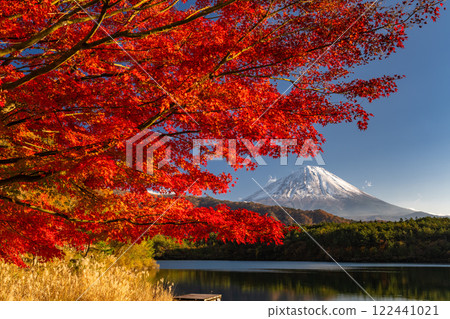 [山梨縣]富士山和紅葉/秋天的西湖 122441021