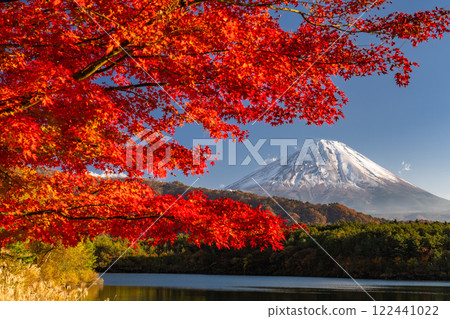 [山梨縣]富士山和紅葉/秋天的西湖 122441022