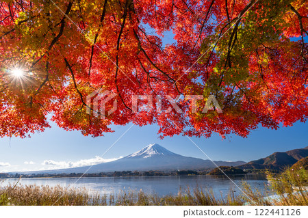 [山梨縣]富士山和秋葉拱門以及秋天的河口湖畔 122441126