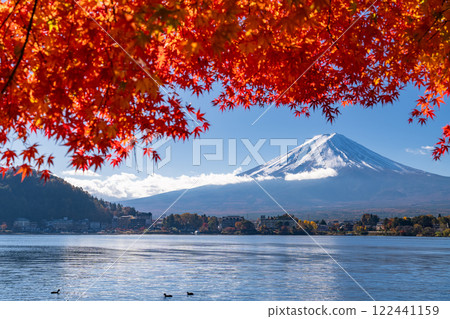 [山梨縣]富士山和秋葉拱門以及秋天的河口湖畔 122441159