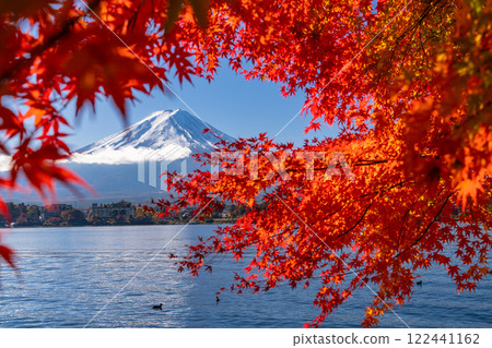 [Yamanashi Prefecture] Mt. Fuji and autumn leaves arch, Lake Kawaguchi in autumn 122441162