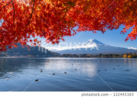 [山梨縣]富士山和秋葉拱門以及秋天的河口湖畔 122441163