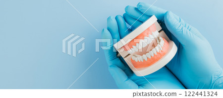 Dentist Day concept. A doctor gloved hands carefully hold a tooth model on blue 122441324