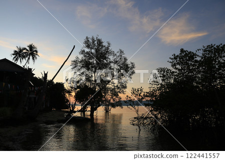 Outlines of trees, coco palms and a small mangrove forest, Ko Chang, Thailand. Outlines of trees, coco palms and a small mangrove forest, Ko Chang, Thailand. 122441557