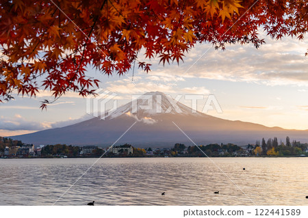 [Yamanashi Prefecture] Mt. Fuji and an arch of autumn leaves at dusk on the shores of Lake Kawaguchi in autumn 122441589