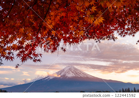 [Yamanashi Prefecture] Mt. Fuji and an arch of autumn leaves at dusk on the shores of Lake Kawaguchi in autumn 122441592