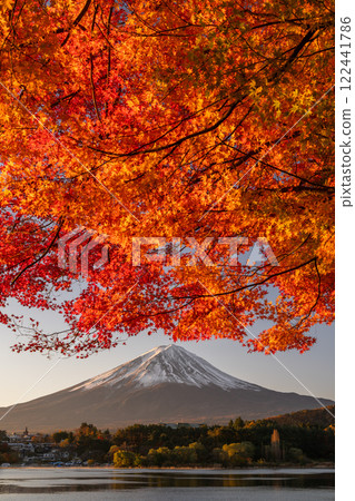 <Yamanashi Prefecture> Mt. Fuji and autumn leaves at dawn on the shores of Lake Kawaguchi 122441786