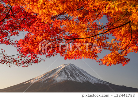 <Yamanashi Prefecture> Mt. Fuji and autumn leaves at dawn on the shores of Lake Kawaguchi <Yamanashi Prefecture> Mt. Fuji and autumn leaves at dawn on the shores of Lake Kawaguchi 122441788