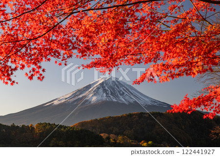 [山梨縣]富士山、秋葉、河口湖畔的黎明 122441927