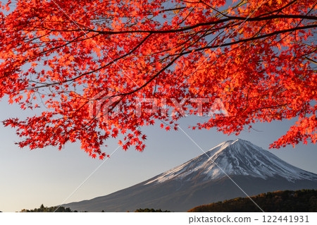 <Yamanashi Prefecture> Mt. Fuji and autumn leaves at dawn on the shores of Lake Kawaguchi 122441931