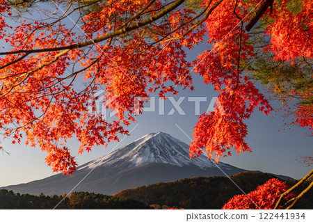 <Yamanashi Prefecture> Mt. Fuji and autumn leaves at dawn on the shores of Lake Kawaguchi 122441934