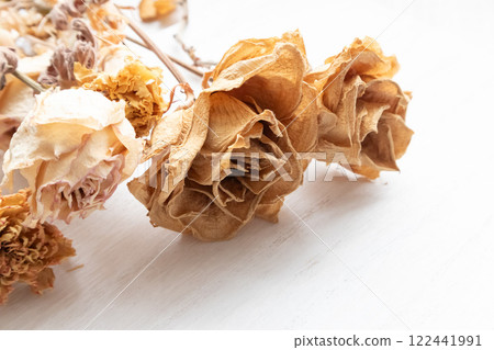 乾花 乾花 122441991