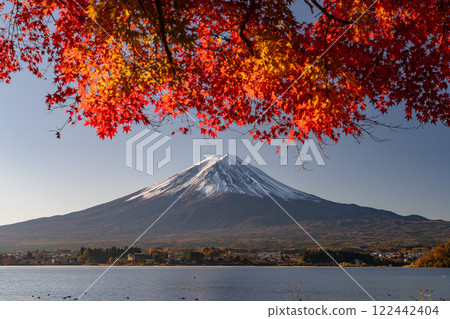 <Yamanashi Prefecture> Mt. Fuji and autumn leaves at dawn on the shores of Lake Kawaguchi 122442404