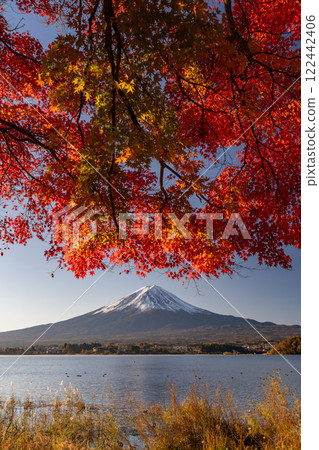 [山梨縣]富士山、秋葉、河口湖畔的黎明 122442406