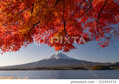 [山梨縣]富士山、秋葉、河口湖畔的黎明 122442414