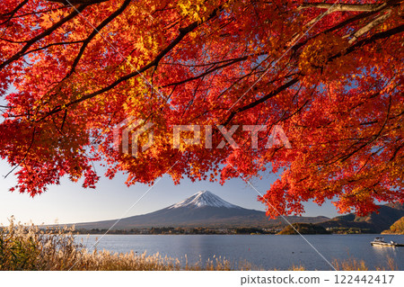 [山梨縣]富士山、秋葉、河口湖畔的黎明 122442417