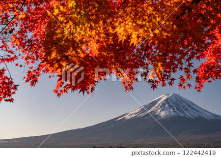[山梨縣]富士山、秋葉、河口湖畔的黎明 122442419