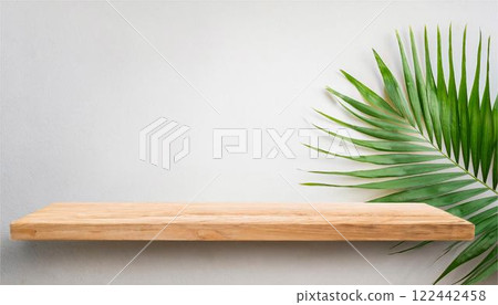 植物葉綠棕櫚樹桌框模型背景壁紙 植物葉綠棕櫚樹桌框模型背景壁紙 122442458