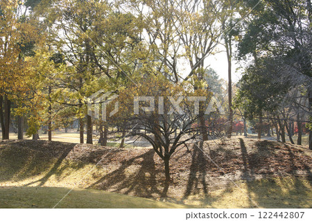 下落的葉子在秋天公園 下落的葉子在秋天公園 122442807