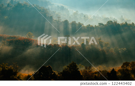 Aerial view of fog and trees in the forest in the morning. Morning nature in the forest. Aerial view of fog and trees in the forest in the morning. Morning nature in the forest. 122443402