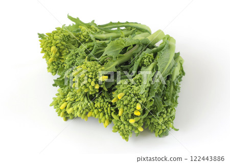 Rape flowers on a white background 122443886