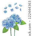 Blue hydrangea watercolor illustration 122444363